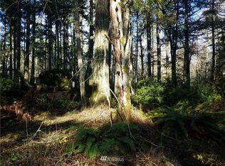 28 135th Ave SW, Vashon, WA 98070