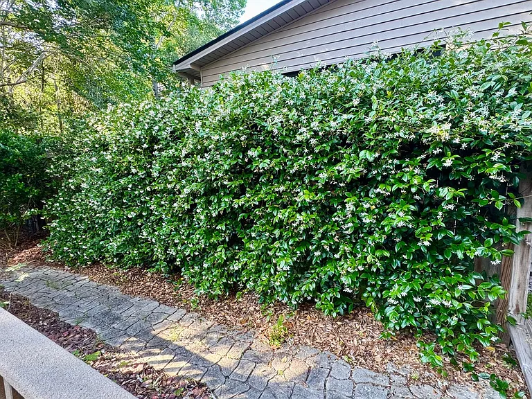 332 Ceasar Pl — Photo 13