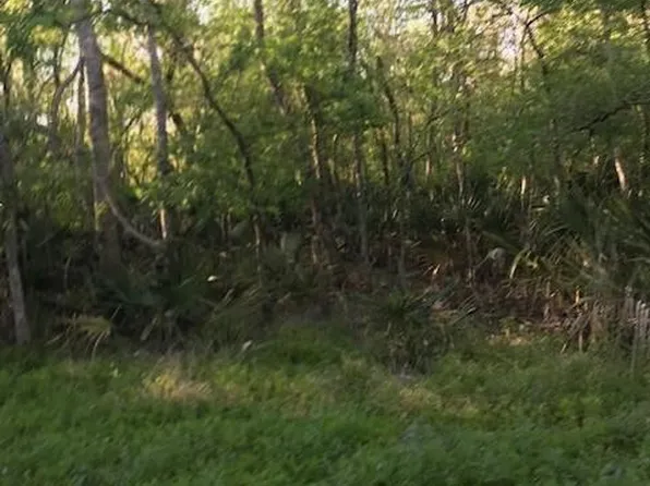 0 E Live Oak Rd, Van Vleck, TX 77482