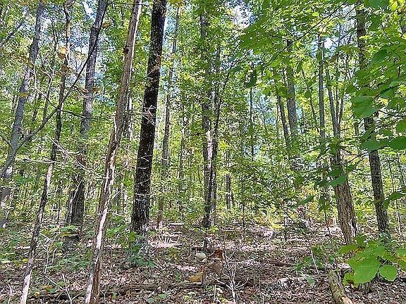 3rd image of 0 Piney Spur Rd #319