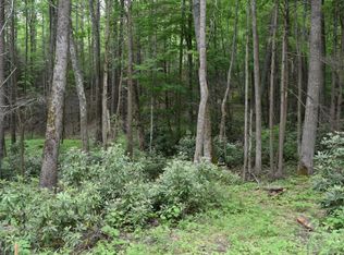 Tbd Dennis Cove Rd, Hampton, TN 37658