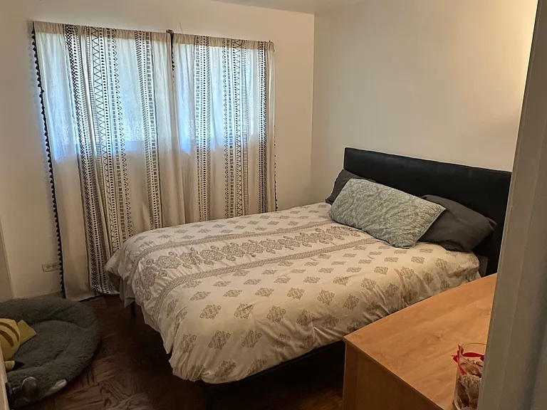 1817 Ivy Ln — Photo 19