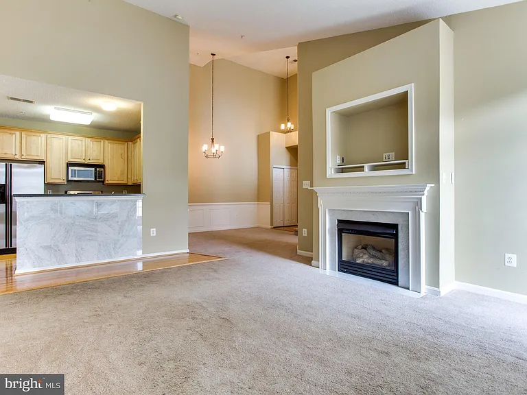 12170 Abington Hall Pl #303 — Photo 21