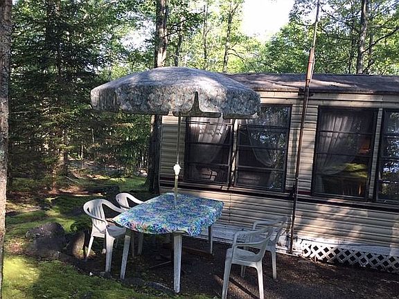 View from the backyard