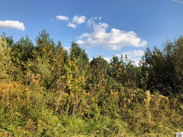 43 Chris Dr, Mayfield, KY 42066