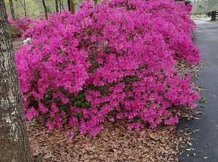 232 Hawthorn Rd, Defuniak Springs, FL 32435