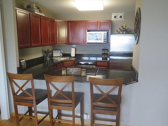 4th image of 525 W Hawthorne Pl APT 1701