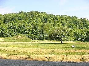 1st image of 228 Adams Acres Dr