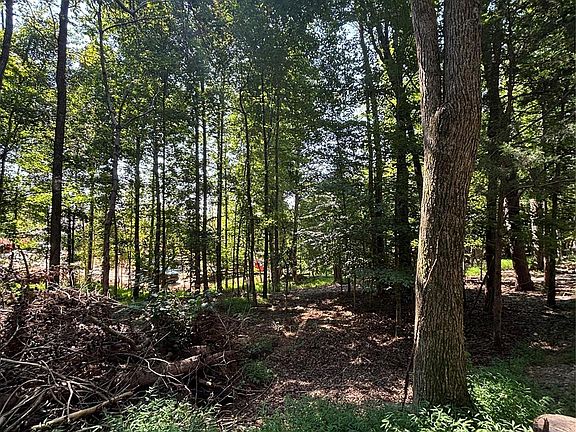 5th image of 0 Pineview Ct