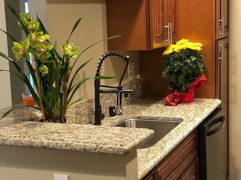 4466 Altadena Ave #6 — Photo 3
