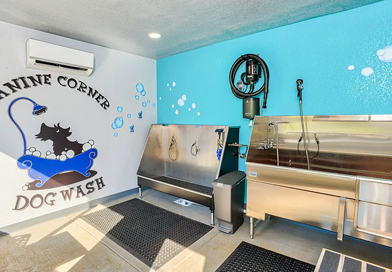 Dog Wash
