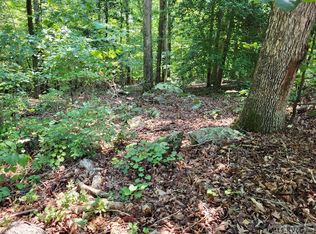 0 Weanock Ln, Ebony, VA 23845
