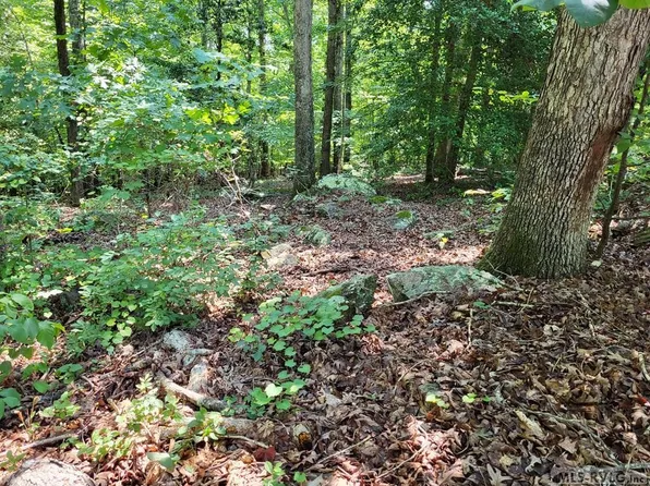 0 Weanock Ln, Ebony, VA 23845