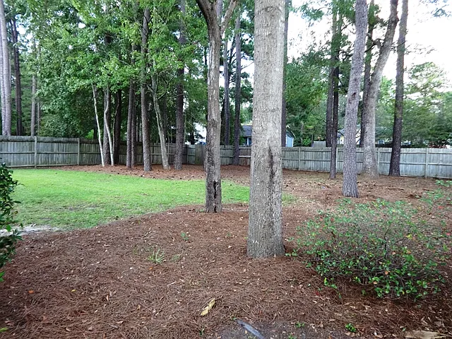 1065 Cobblestone Blvd — Photo 13
