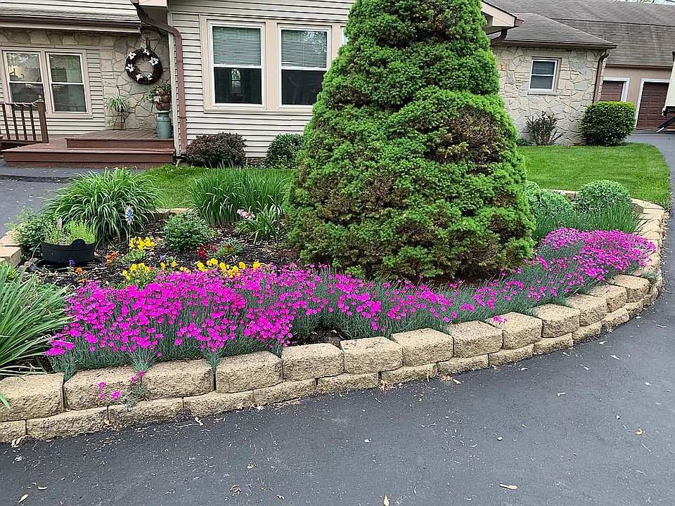 Beautiful flower beds