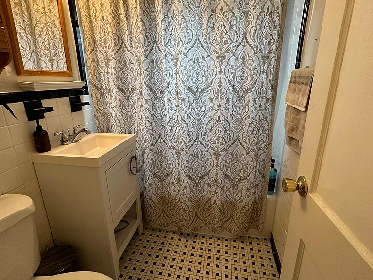49 E Rosemont Ave — Photo 33