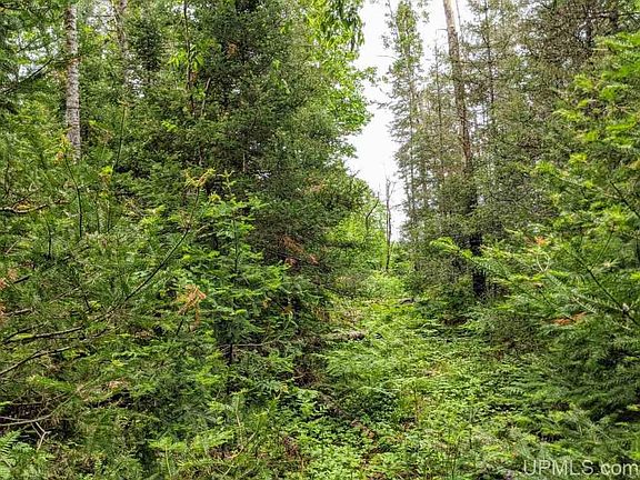 5th image of 40AC Amvets Hwy