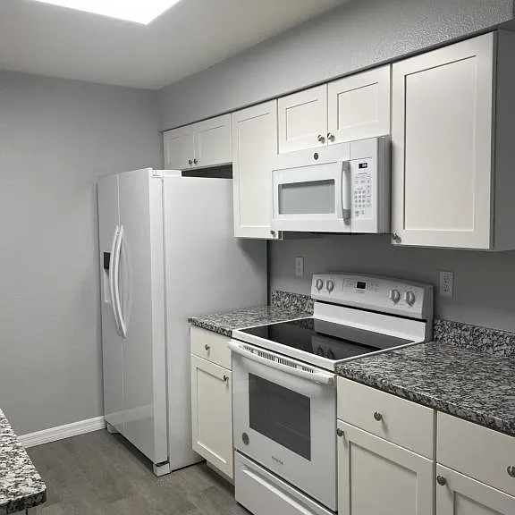 1233 Sago Palm Blvd — Photo 5