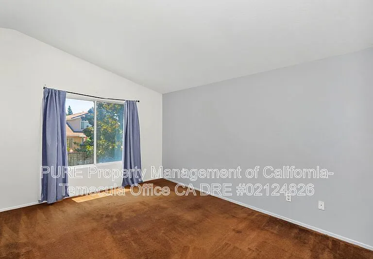 32025 Calle Ballentine — Photo 7