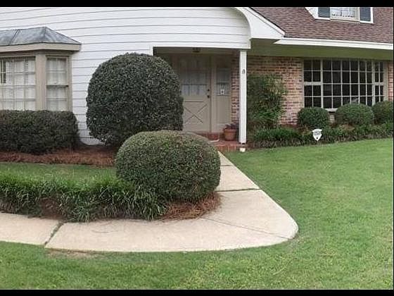 2nd image of 3038 Boxwood Dr
