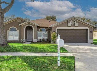 22536 Magnolia Trace Blvd, Lutz, FL 33549