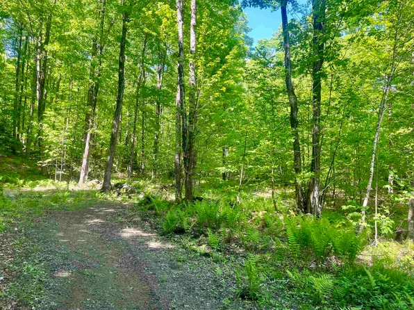 220 Middle Road, Chittenden, VT 05763
