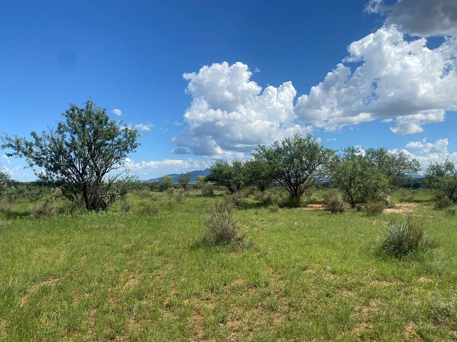 Upper Elgin Rd, Elgin, AZ 85611 MLS 11148060 Zillow