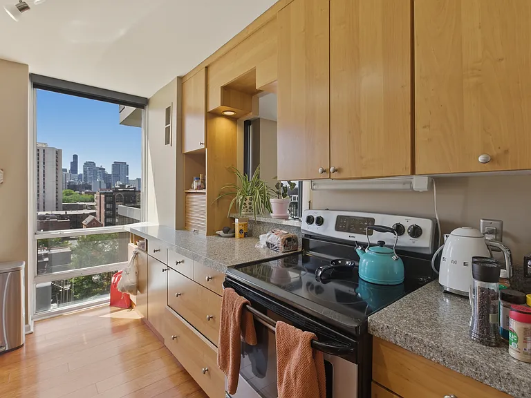 1660 N La Salle Dr #902 — Photo 12