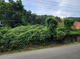 1067 Poe Town St, Grundy, VA 24614