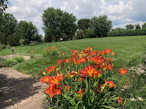 backyard entry view