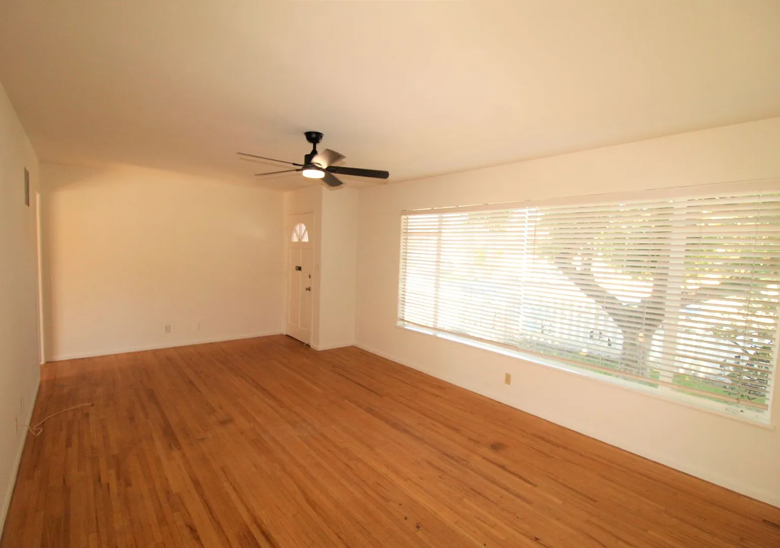 2 Bed 1 Bath w/Den-Pierpont Beach Home with Yard! — Photo 3