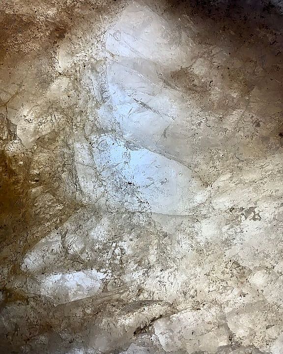 1st image of 1191 Mimosa Ct