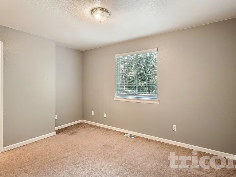 18911 101st Street Ct E — Photo 11