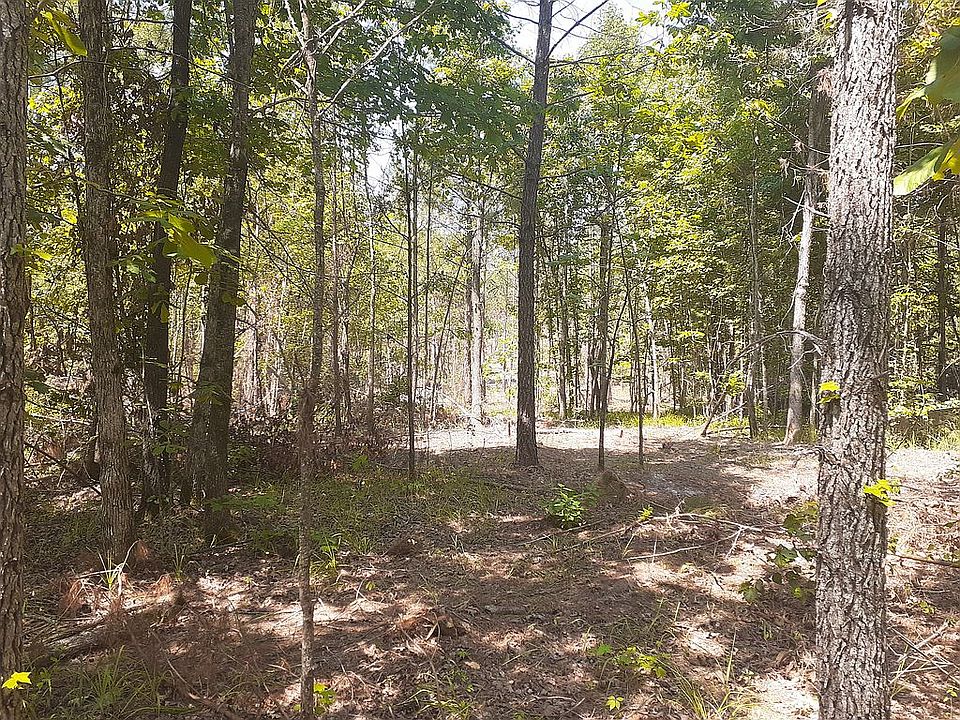 101 Goodeaux Rd, Lonsdale, AR 72087 Zillow