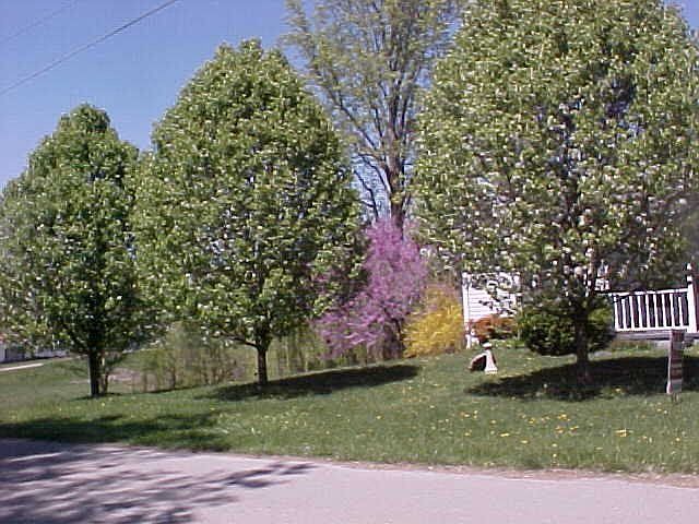 2nd image of 514 Evans St