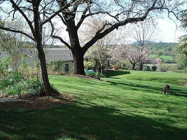 1st image of 17345 Friendly Valley Pl