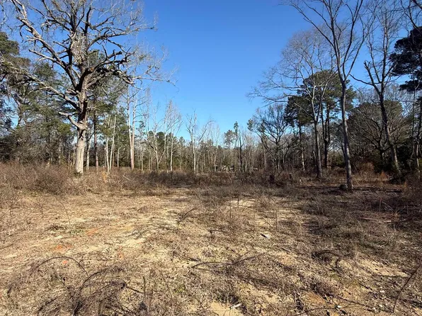 513 State Highway 323 E, Overton, TX 75684