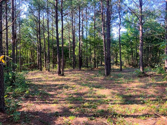 2nd image of 0 Highway 232 Lot 74