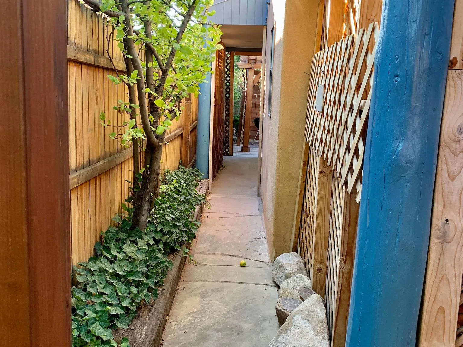 2950 Camino Piedra Lumbre — Photo 4