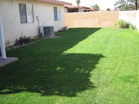 block wall fenced yard