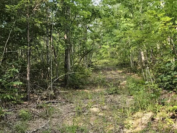 0 Cove Hill Rd, Pikeville, TN 37367