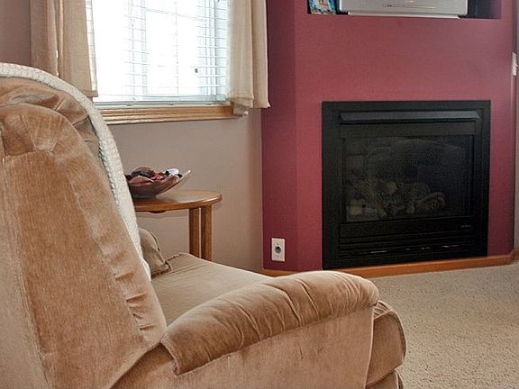 Gas fireplace