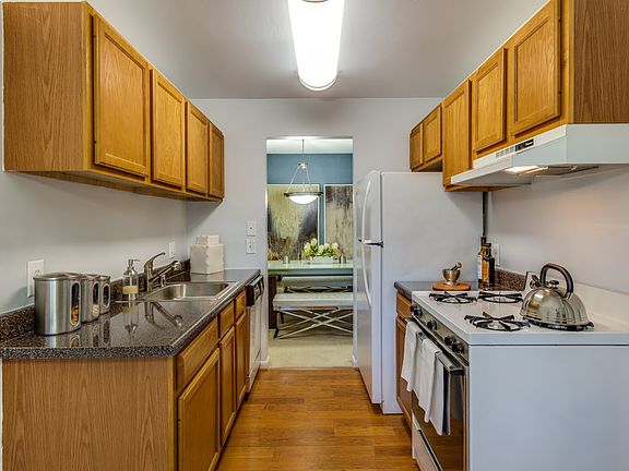 Apartment Kitchen
