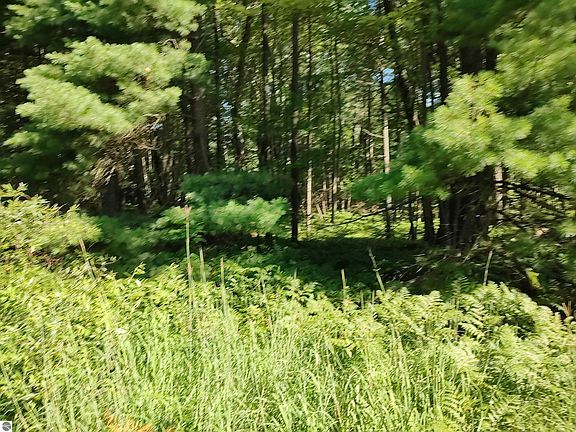 4th image of Vl Grass Lake Rd Lot 22