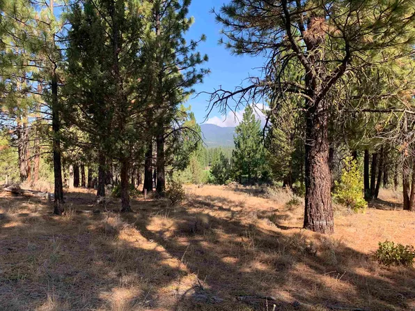 992 Great Spirit, Portola, CA 96106