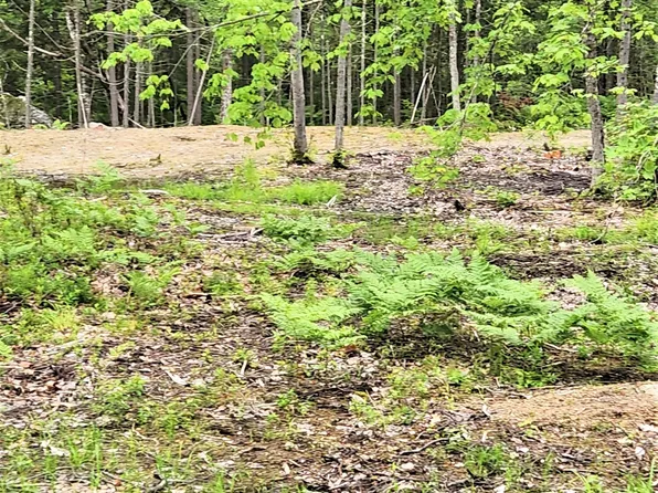 Lot# Owls Nest Road #A, Shapleigh, ME 04076