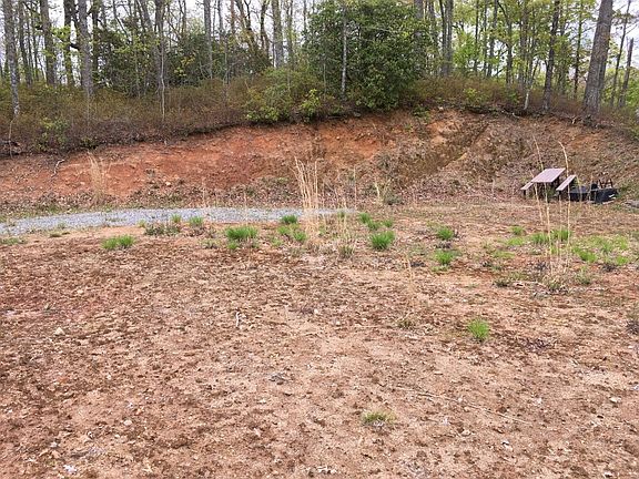 5th image of 121 Wolf Lair Dr Lot 74