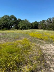 County Road 4195, Clifton, TX, 76634