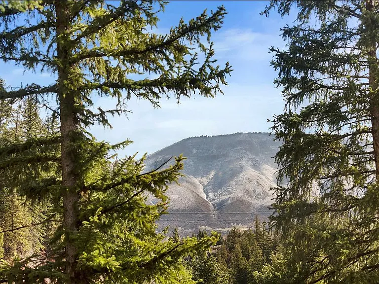 View from the deck