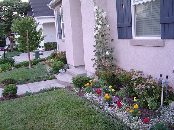 House - Front Yard - Jun 2010